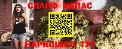 гидра Камышлов
