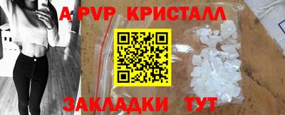 гидра Камышлов