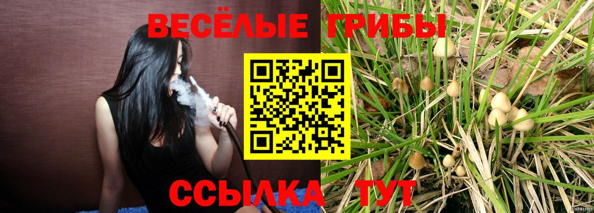 Фурманов  Галлюциногенные грибы Magic Shrooms  Вход с VPN 