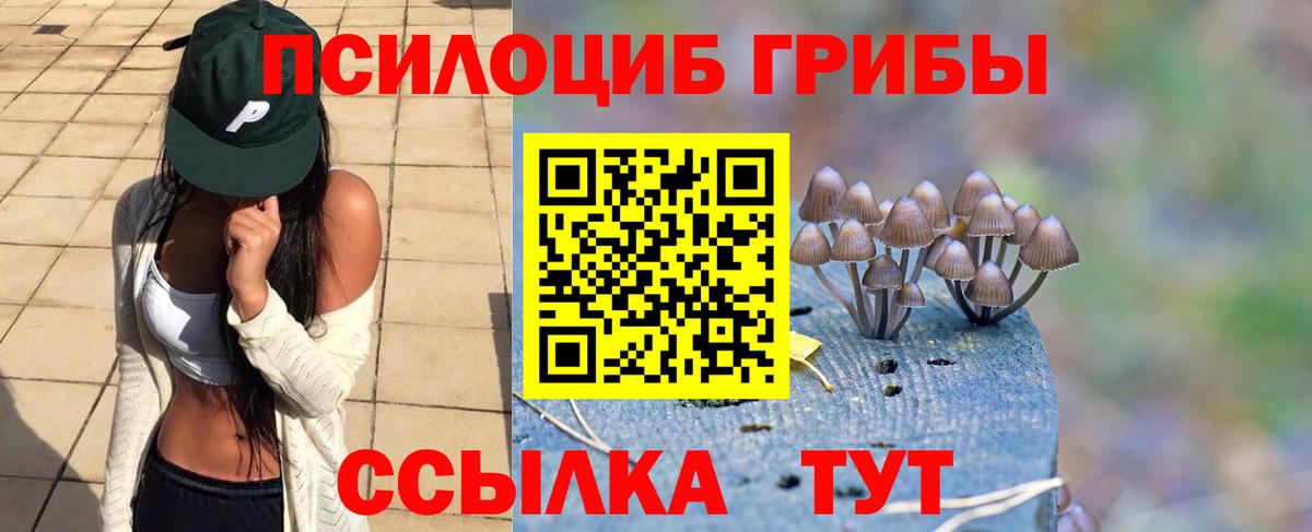 Псилоцибиновые грибы мухоморы Фурманов