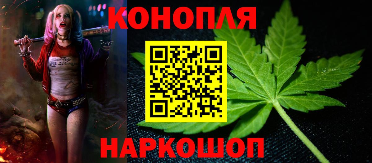 Конопля OG Kush  Бошки Шишки семена  Фурманов  Шишки марихуана SATIVA & INDICA  Вход с VPN 